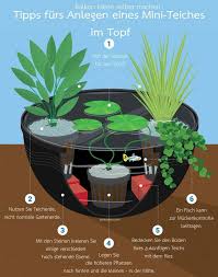 Balkon Ideen Selber Machen Ein Mini Teich Im Topf Garten Diy Balkonideen Estanques De Jardin Jardines Jardines De Agua