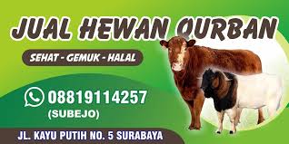 Kami adalah peternak jual kambing qurban solo yang menyediakan kambing qurban (jenis kambing dan domba) untuk kebutuhan berqurban anda. Gambar Hewan Qurban Vector Greatnesia