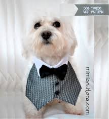 Even beginners can try them out too. Dog Tuxedo Vest Pattern Free Pdf Download