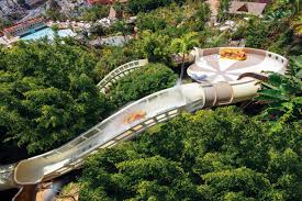 Bagi mahasiswa baru jalur snmptn tahun 2021, untuk mengaktifkan akun siam silakan menggunakan fitur lupa kata sandi dengan nim sebagai userid. Blog Siam Park Premio
