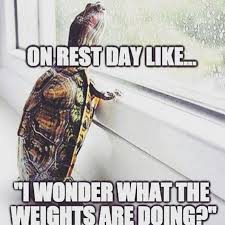 Crossfit Gym Memes Workout Humor Workout Memes