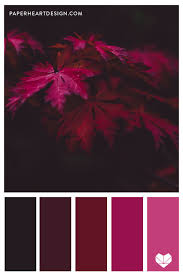 Color Palette Deep Wine Red Leaves Red Colour Palette Create Color Palette Wedding Color Schemes Purple