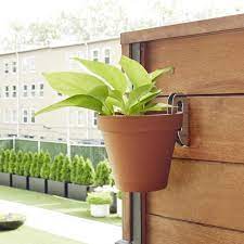Pin By Kayla Morrison On Plants And Fish In 2021 Floating Plants Indoor Plant Hangers Plant Hanger