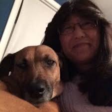 Foster Families Stories — The Sato Project