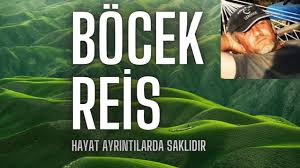 Kor Kostebek Faresi Isirigi Bocekreis Spalax Youtube