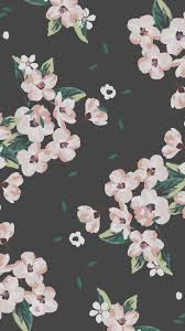 Pin On Iphone Wallpapers