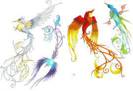 Tattoo Bird Of Paradise Images Bird Of Paradise Samples By Conscience111 On Deviantart Bird Of Paradise Tattoo Paradise Tattoo Birds Of Paradise