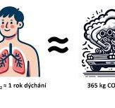 Kohlendioxid CO2 - autolexicon.net