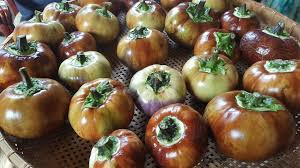 Image result for Solanum macrocarpon
