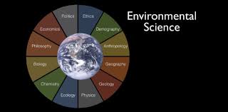 Consider grabbing one of my trivia q & a books (these are my affiliate links below!): Environmental Science Toughest Questions Trivia Quiz Proprofs Quiz