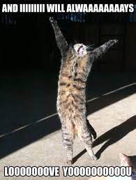 And I Will Always Love You Funny Cat Meme Cute Funny Animals Funny Animals Animal Captions