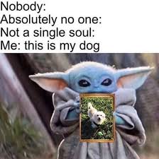 The Best Dog Memes We Have Scrolled Through This Year 60 Memes Dog Memes Dog Person Animal Memes