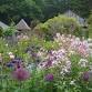 CPD Session: Nant-y-Bedd Garden & St Issui’s event image