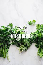 Either use the fresh herb immediately or place the whole thing in a glass of water and refrigerate until needed. Real Food Hack How To Store Fresh Herbs Live Simply