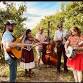 Chasing Keridwyn at RoxyAnn Winery