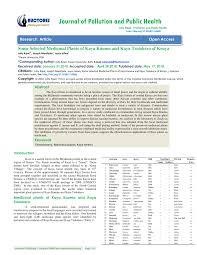 Image result for Synadenium pereskiifolium