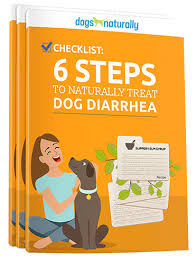 Vomiting on an empty stomach will often indicate that their nausea is not due to something they recently ate. Best Home Remedies For Dog Vomiting Dogs Naturally