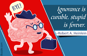 Stupid Sayings Quotabulary