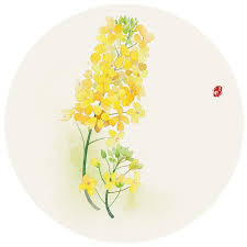 莳花 十二 无轩 原创作品 涂鸦王国 flower art china art japanese art