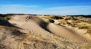 In this story lady claray macfarlane is just a pawn in a plan to get a hold of her family's land and title. Lynga Sand Dune Officiell Guide For Turister Och Besokare