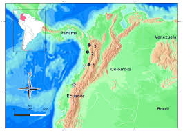 Image result for Imantodes chocoensis