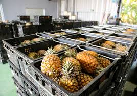 Afrikaans čeština dansk deutsch ελληνικά english english (uk) español (españa) español suomi français bahasa indonesia italiano 日本語 한국어 bahasa melayu norsk nederlands polski português (brasil) português (portugal) русский svenska ภาษาไทย filipino türkçe 中文(简体) 中文(台灣). Rmrmfqirsgrb8m