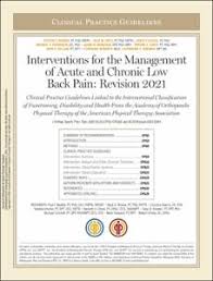 Image result for Low Back Pain Management