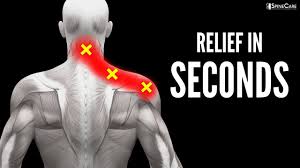 Image result for Shoulder Pain