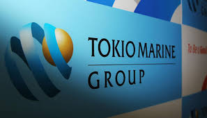 Operates as a holding company. Tokio Marine Chooses Luxembourg For New Eu Company Commercial Risk