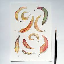 Eucalyptus Leaves Print 10x8 A4 14x11 A3 Australian Botanical Watercolour Wall Art Autumn Nature Home Decor Botanical Prints Eucalyptus Leaf Prints Botanical Watercolor