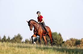 Последние твиты от julia krajewski (@jk_eventing). Owb2ayxmny Gim