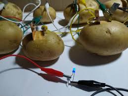 La texture de la pomme de terre conduira l'électricité. La Pile Patate Arduiblog