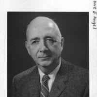 Fallen angel., Bernard Spragg Photo