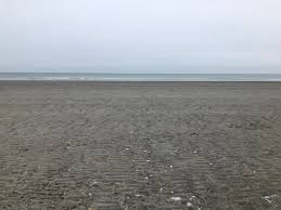 Low Tide At Nantasket Beach Picture Of Nantasket Beach