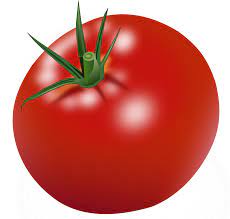 Red Tomatoes Png Image Purepng Free Transparent Cc0 Png Image Library Red Tomato Tomato Red Fruit