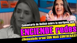 🦋 El comentario de Dalilah sobre la mariposa que ENCIENDE redes  😱¿Demasiado cruel CON MAR CONTRERAS?