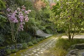 Hacienda Tiburon Landscape