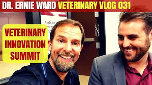 Veterinary Innovation Summit 2017
