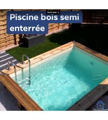 Piscine Bois Semi Enterree 2m50x1m50x1m30 Lyon Les Brotteaux 69006