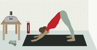 Yoga And Metabolism Myths And Truths Beginner Yoga Workout Yoga Routine Morning Yoga