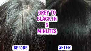 Coloring or haircuts.haircuts can go one of two ways says aj lordet, senior colorist at pierre michel salon in new york city: How To Stop Grey White Hair Naturally In 5 Minutes Superprincessjo Youtube
