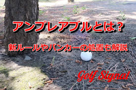 ゴルフ】アンプレアブルとは？正しい救済措置や新ルール、バンカーからの対応を解説 | Golf Signal
