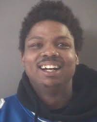 Gang murder to marijuana to sex to meth: 20 circuit court sentences