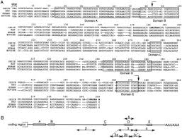 See what sl yong (sly6191) has discovered on pinterest, the world's biggest collection of ideas. Identification Of A Ga Rich Sequence As A Protein Binding Site In The 3 Untranslated Region Of Chicken Elastin Mrna With A Potential Role In The Developmental Regulation Of Elastin Mrna Stability Journal Of