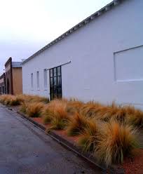 Maybe you would like to learn more about one of these? Pin On Splendor In The Grass