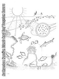 Great barrier reef coloring page free download. Papahanaumokuakea Marine National Monument