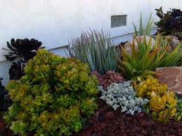 We did not find results for: Ultimate Guide To Succulents Types Of Succulents World Of Succulents