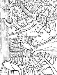 Amazon rainforest coloring pages for kids coloring4free. Monkey Hanging On Snake Rainforest Coloring Page Download Print Online Coloring Pages Fo Monkey Coloring Pages Online Coloring Pages Cartoon Coloring Pages