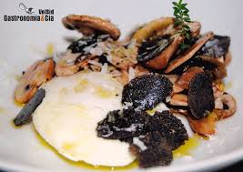 Cocina con trufa, trufa negra. Doce Recetas Para Hacer Con Trufa De Verano Tuber Aestivum Gastronomia Cia