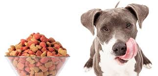 This can lead to a if your young pitbull needs optimal nutrition, then you'll be stoked on this puppy chow from victor. Best Dog Food For Pitbulls The Munch Zone